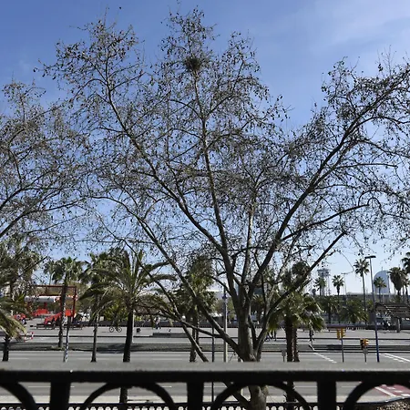 Duquesa De Cardona 4 Sup By Grup Duquessa