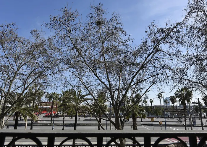 Duquesa De Cardona 4 Sup By Grup Duquessa